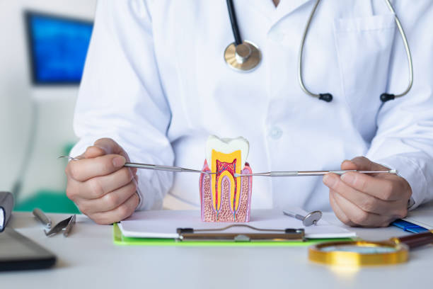 Best Cosmetic Emergency Dentistry in Crescent Springs, KY